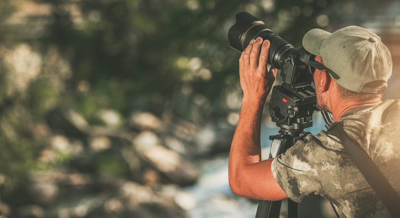 wildlife photographer taking photos in nature